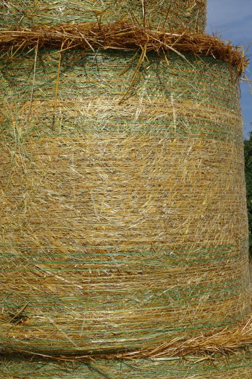 straw bales summer nature