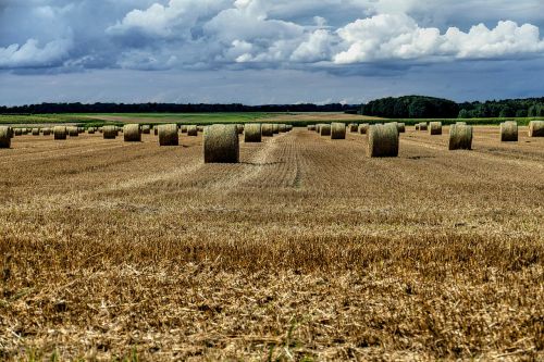 straw bales arable field