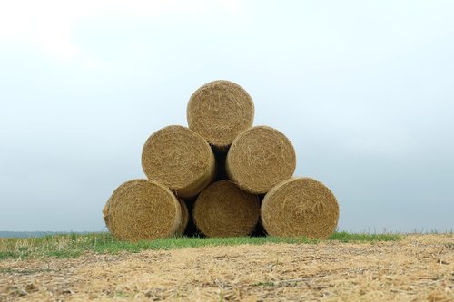 straw bales  landscape  agriculture
