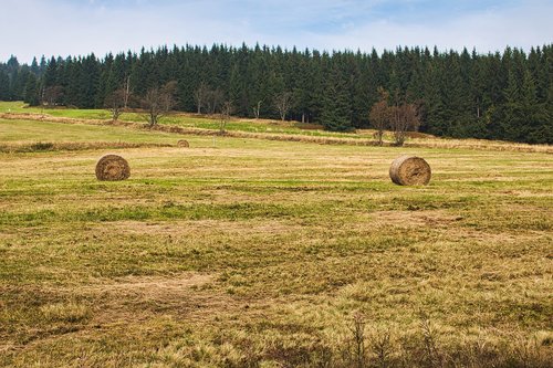 straw bales  field  landscape