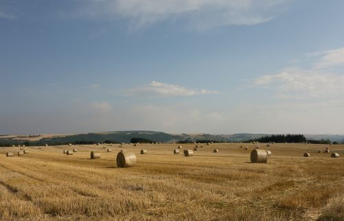 straw bales field meadow