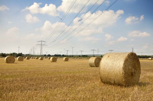 straw bales nature field