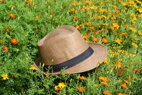 straw hat cornflowers park