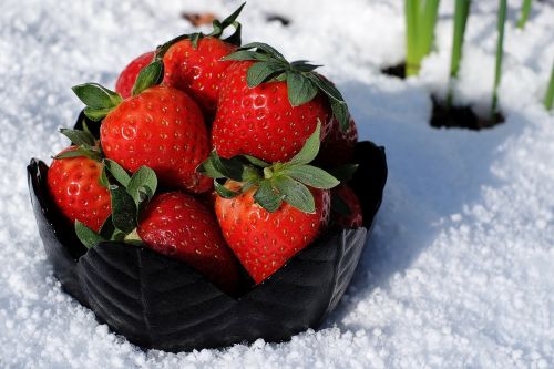 strawberries bowl appetizing