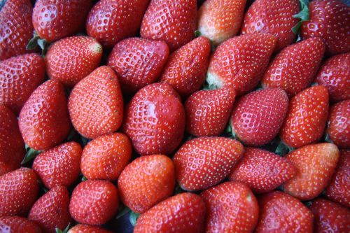 strawberries fruit red