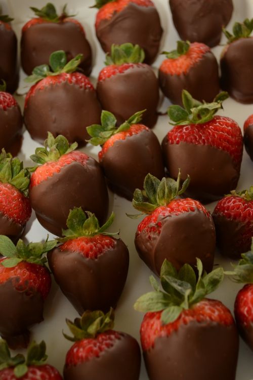 strawberries strawberry chocolate