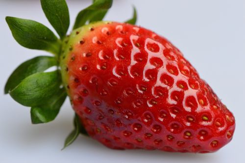 strawberries fruit close