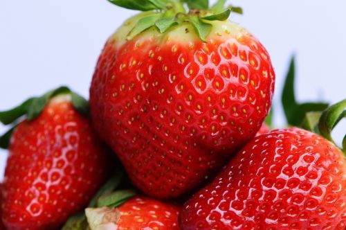 strawberries fruit close