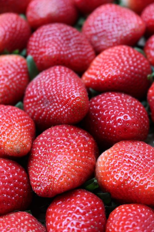 strawberries fruit red