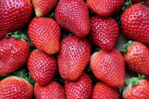 strawberries fruit red