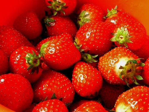 strawberries fruits red