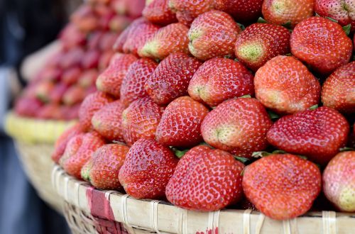 strawberries red dalat