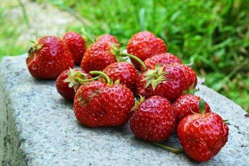 strawberries fruit red