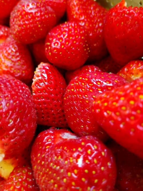 strawberries strawberry red