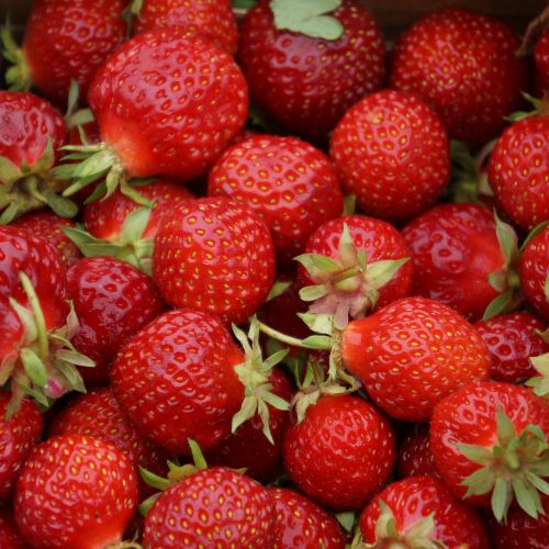 strawberries berries red berries