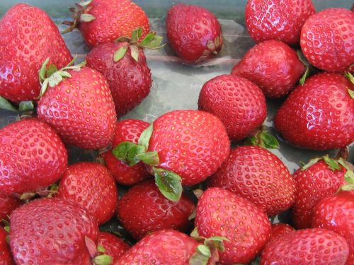 strawberries fruit berry