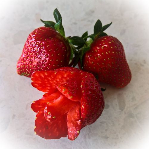 strawberries strawberry rose fruits