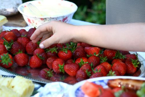 strawberries child hand