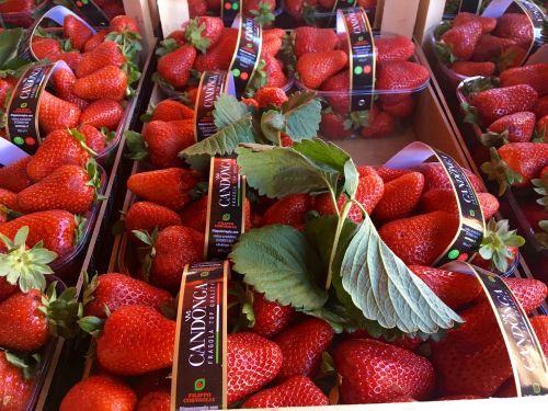 strawberries market fruits