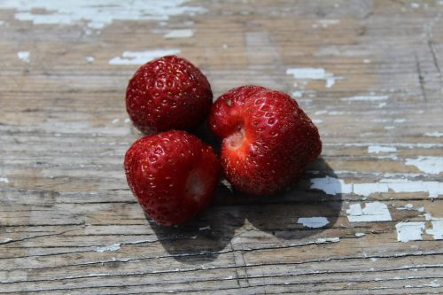 strawberries village summer