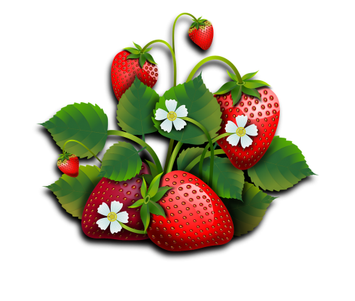 strawberries fruits fruit