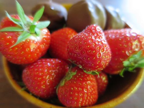 strawberries chocolate temptations