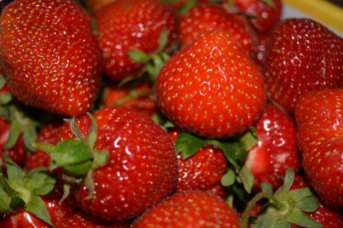 strawberries summer red
