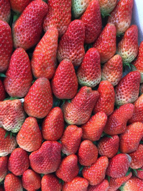 strawberries red fresh