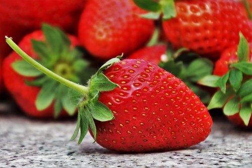 strawberries  fruit  season