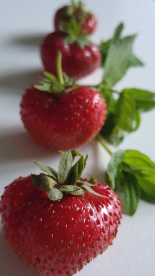 strawberries  fruit  red