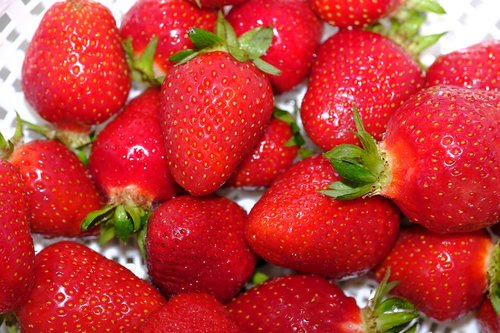 strawberries  berries  fruit