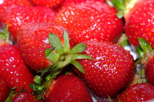 strawberries  berries  fruit