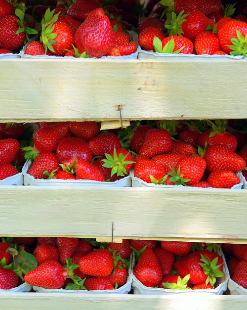 strawberries  box  transport crates