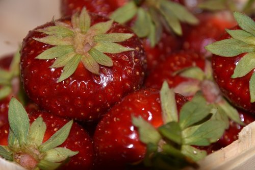 strawberries  red  fruit