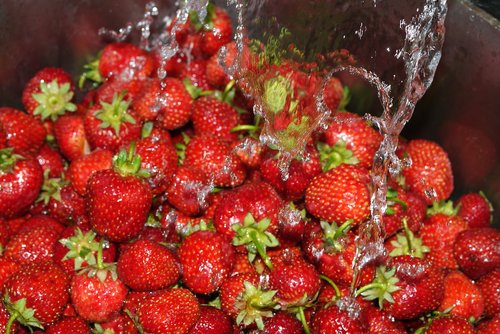 strawberries  water  strawberry