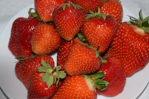 strawberries  fruit  fruits