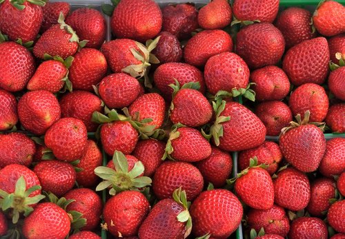 strawberries  fruit  fresh