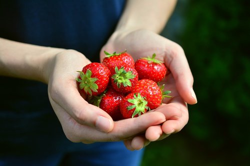 strawberries  fruits  hands