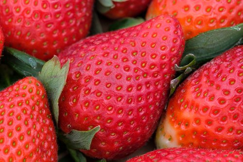 strawberries  fruits  fruit