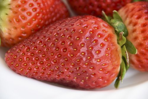 strawberries  fresón  red