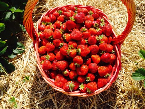 strawberries red fruits