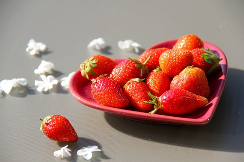 strawberries  saucer  sun