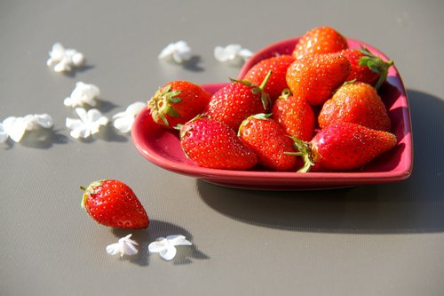 strawberries  saucer  sun