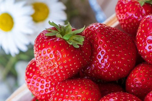 strawberries  red  fruit