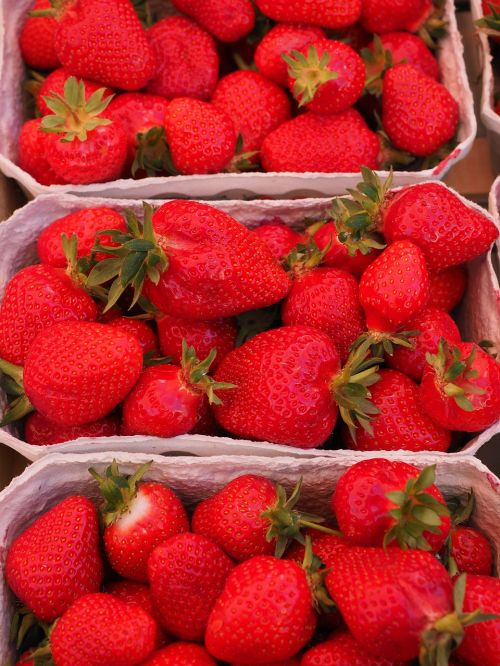 strawberries fruits red