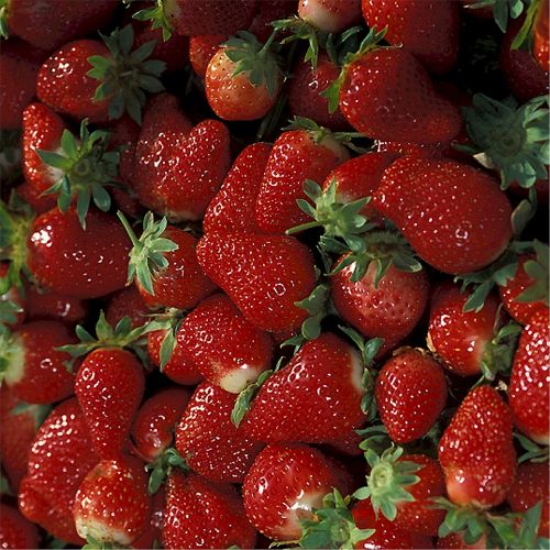 strawberries ripe fruit