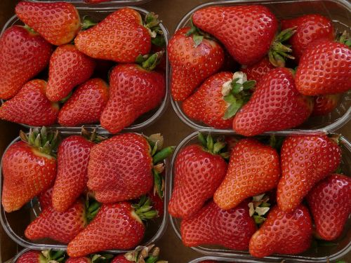 strawberries strawberry berry