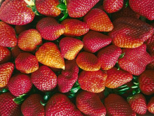 strawberries red fruit