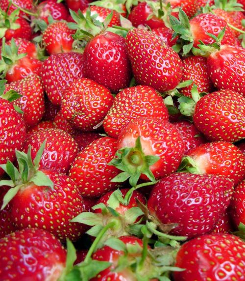 strawberries red summer