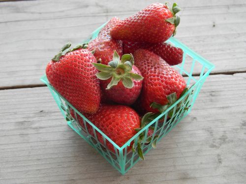 strawberries organic fruit